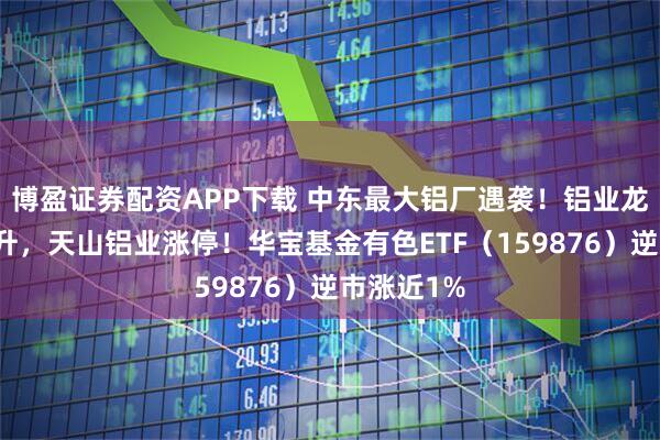 博盈证券配资APP下载 中东最大铝厂遇袭!铝业龙头领衔飙升,天山铝业涨停!华宝基金有色ETF(159876)逆市涨近1%
